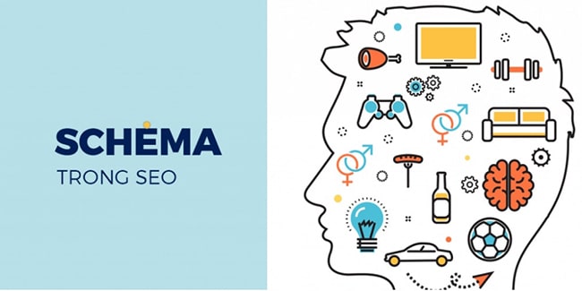 Schema trong SEO website